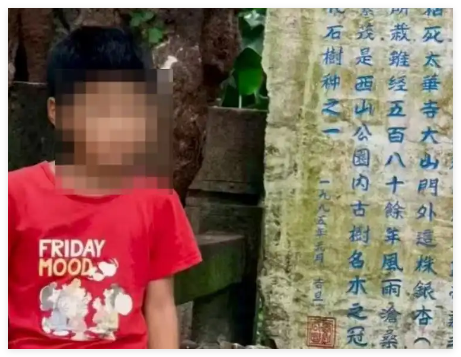 大理洱海12岁走失自闭症儿童已找到 事件始末2025最新消息