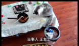 3万金镯子被猫推进垃圾桶后扔了 实在太无奈了