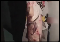 男子钓了一条大鱼 妻子情绪价值拉满 网友:谁家钓鱼佬这么幸福