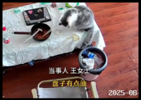 3万金镯子被猫推进垃圾桶后扔了 实在太无奈了