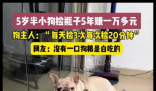 5岁半小狗捡瓶5年攒下万元存款 这也太神奇了