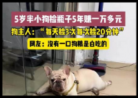 5岁半小狗捡瓶5年攒下万元存款 这也太神奇了