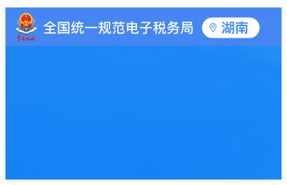 湖南国税电子税务局：https://etax.hunan.chinatax.gov.cn:8443/