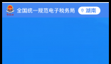 湖南国税电子税务局：https://etax.hunan.chinatax.gov.cn:8443/