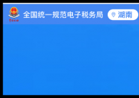 湖南国税电子税务局：https://etax.hunan.chinatax.gov.cn:8443/