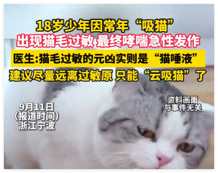 男孩常年“吸猫”致哮喘急性发作 实在太崩溃了