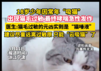 男孩常年“吸猫”致哮喘急性发作 事件始末2025最新消息
