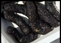 德克士回应黑金藤椒小酥肉外形被吐槽 画面曝光简直不忍直视