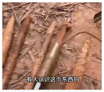 养猪场丢失20多头猪发现多支箭头 实在太无奈了