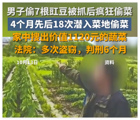男子4个月偷菜18次获刑6个月 实在太胆大妄为了