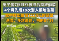 男子4个月偷菜18次获刑6个月 实在太胆大妄为了