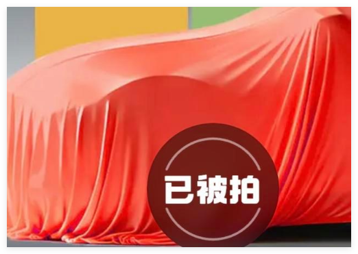 京东001号车以7819万元拍出 这也太夸张了吧