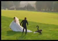 新人拍婚纱照遭遇“黑天鹅抢新娘” 真相简直太意外了