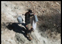 男子10年进山371次捡了2万多斤垃圾 事件始末2025最新消息