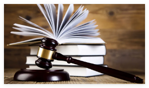 遛狗未拴绳惊倒路人 饲养人赔28万 内幕曝光简直太意外了