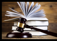 遛狗未拴绳惊倒路人 饲养人赔28万 内幕曝光简直太意外了