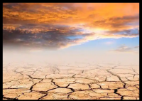 超强厄尔尼诺将致最热年?专家回应 内幕曝光简直太意外了