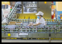 擦边二十年的椰树 这次翻车不冤 内幕曝光简直太意外了