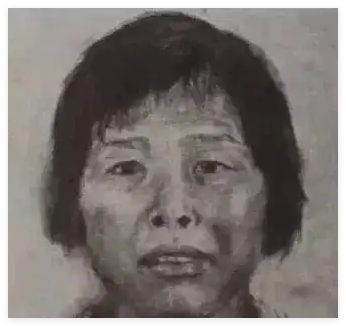 梅姨落网 被拐儿童钟彬:激动到吐了 背后真相实在让人惊愕