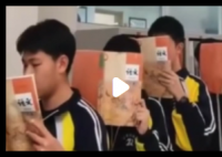 担心电子宠物饿死 全班排队背书 内幕曝光简直太意外了