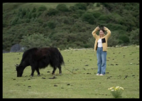 博主用AI手搓应用1个多月赚近九千 内幕曝光简直太意外了