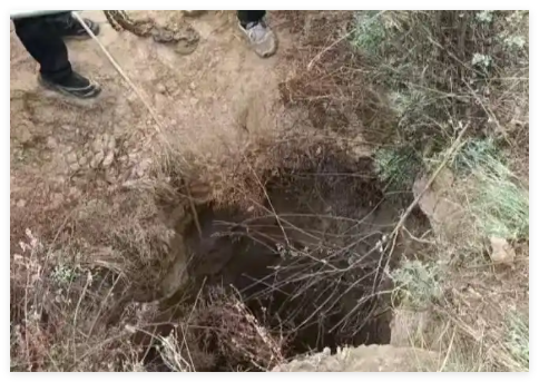 800斤黄牛坠洞 主人营救4天无奈放弃 背后真相实在让人惊愕