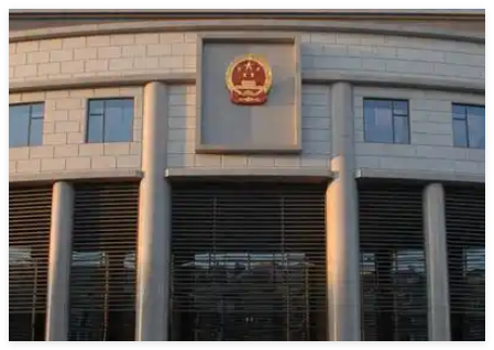 继母和继子亲哥争夺继子监护权被驳 究竟是怎么回事？