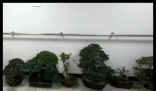 男子偷空调顺手一拿让案值翻10倍 内幕曝光简直太意外了