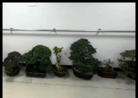 男子偷空调顺手一拿让案值翻10倍 内幕曝光简直太意外了
