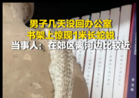 男子几天没回办公室 书架上现蛇蜕 内幕曝光简直太意外了