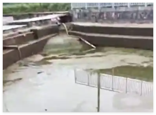 柳州网红水池一夜之间几近干涸 究竟是怎么回事？