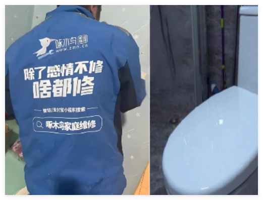 报价156实付1780 啄木鸟又出问题 背后真相实在让人惊愕