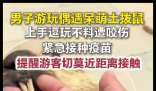 男子偶遇土拨鼠上手逗玩被咬伤 内幕曝光简直太意外了