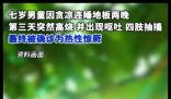 7岁男童贪凉睡地板致高烧抽搐 内幕曝光简直太意外了