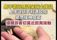 男子偶遇土拨鼠上手逗玩被咬伤 内幕曝光简直太意外了