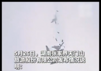 张家界天门山景区通报“天降落石” 内幕曝光简直太意外了
