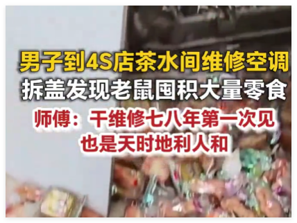 维修工发现空调被老鼠囤满零食 内幕曝光简直太意外了