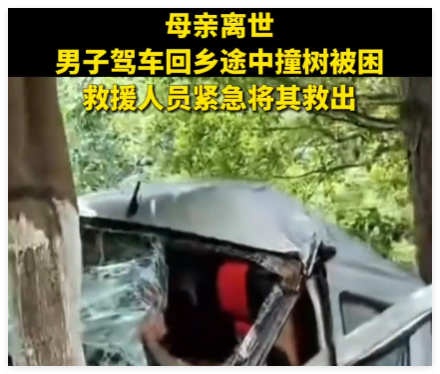 母亲离世 男子驾车回乡途中撞树被困 究竟是怎么回事？