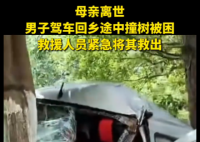 母亲离世 男子驾车回乡途中撞树被困 内幕曝光简直太意外了
