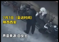 大爷爱犬去世后为陌生女子遛狗12年 这也太罕见了