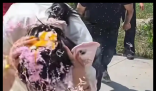 婚礼现场伴娘被砸生鸡蛋 警方介入 究竟是怎么回事？