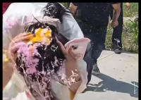婚礼现场伴娘被砸生鸡蛋 警方介入 为什么引热议什么情况？