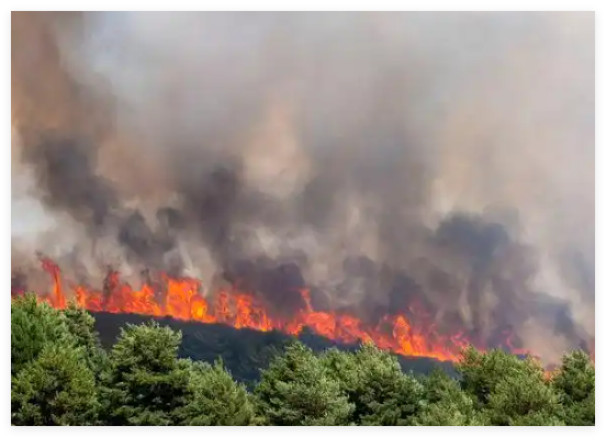 西班牙山火持续 高温加大灭火难度 实在太恐怖了