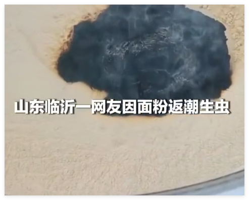 女子用不锈钢盆晒面粉时起火 原因竟是这样太意外了