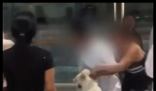 遛狗惊扰陌生人起冲突?当事人回应 究竟是怎么回事？