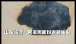 女子用不锈钢盆晒面粉时起火 这也太恐怖了
