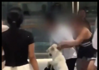遛狗惊扰陌生人起冲突?当事人回应 为什么引争议什么情况？