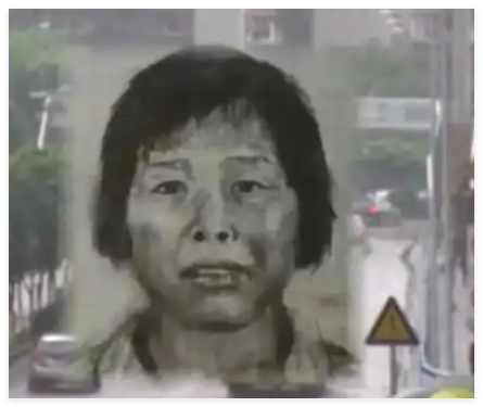 人贩子“梅姨”真实姓名曝光 这也太狠毒了吧