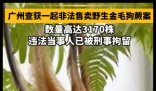 广州一人卖3170株“招财”植物被刑拘 严禁采挖野生植株