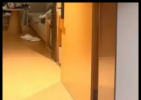 男子入住酒店出门后房间被敞开8小时 目前仍在处理当中